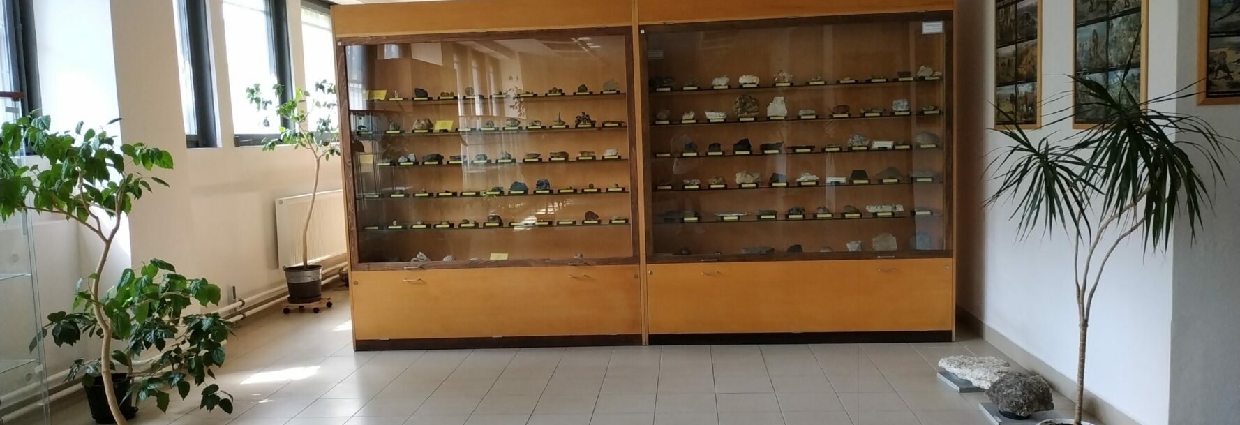 slider6_IMG_20190722_103122